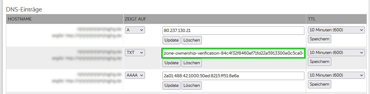 Screenshot: Der Bereich DNS-Einträge wird angezeigt. In diesem Bereich ist das TXT-Feld hervorgehoben, in dem der TXT-Eintrag aktualisiert werden muss.