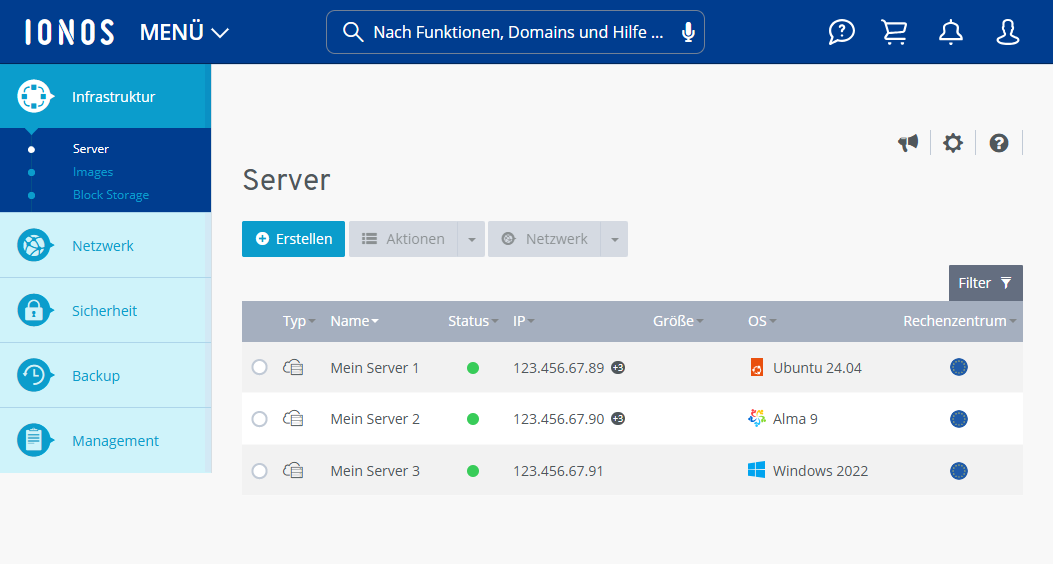 Screenshot: Der Bereich Infrastruktur > Server wird im Cloud Panel angezeigt.
