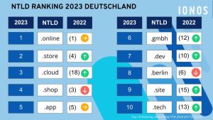 Die IONOS Top 10 der neuen Top Level Domains 2022 in Deutschland / IONOS
